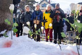 ICE Shooting Kills Woman - Minneapolis