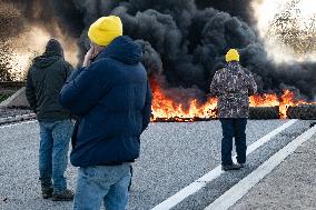 Farmers Protest - Spain