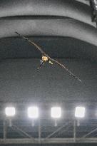 CALCIO - Serie A - SS Lazio vs ACF Fiorentina