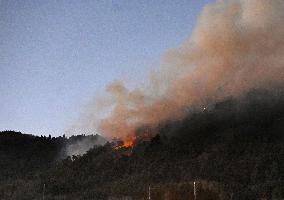 Wildfire in Yamanashi Pref.
