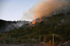 Wildfire in Yamanashi Pref.