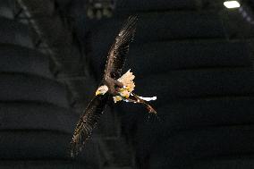 CALCIO - Serie A - SS Lazio vs ACF Fiorentina