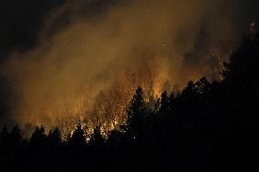 Wildfire in Yamanashi Pref.