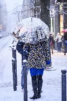 Illustration - Paris Under the Snow - Paris