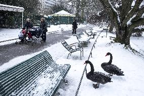 Illustration - Paris Under the Snow - Paris