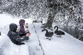 Illustration - Paris Under the Snow - Paris