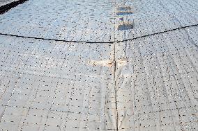 Pacheco Visits Farm Affected By 2024 DANA - Spain