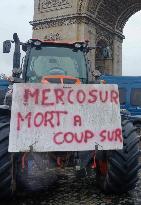 Farmers' Demonstration in Front of Arc De Triomphe - Paris