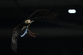 CALCIO - Serie A - SS Lazio vs ACF Fiorentina