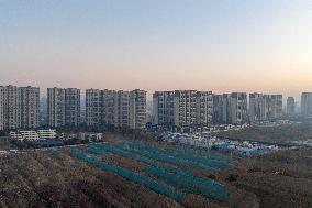 China Real Estate Market