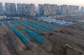 China Real Estate Market