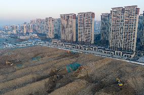 China Real Estate Market