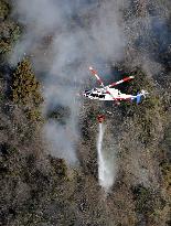 Wildfire in Yamanashi Pref.