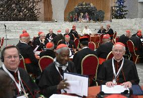 Pope Leo XIV Leads Extraordinary Consistory - Day 2 - Vatican