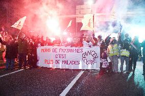 Confederation Paysanne Farmers Protest - Paris