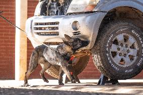 Police Dog Base - China