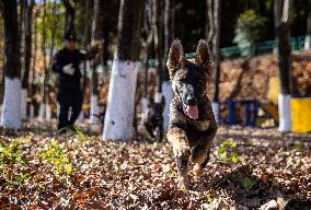 Police Dog Base - China