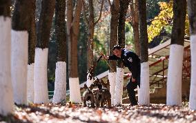Police Dog Base - China