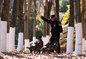 Police Dog Base - China