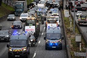 Confederation Paysanne Farmers Protest - Paris