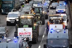 Confederation Paysanne Farmers Protest - Paris