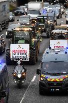 Confederation Paysanne Farmers Protest - Paris