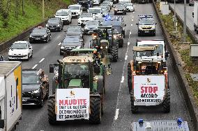 Confederation Paysanne Farmers Protest - Paris