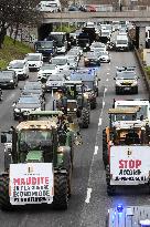 Confederation Paysanne Farmers Protest - Paris