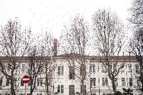 Crans Montana - White Balloons Released for Chiara Costanzo - Milan