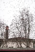 Crans Montana - White Balloons Released for Chiara Costanzo - Milan