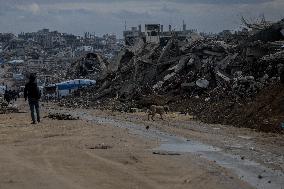 Winter Hits Northern Gaza Amid Humanitarian Crisis - Jabalia