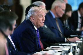 US President Donald Trump mets with oil executives in the East Room