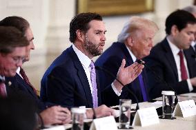 US President Donald Trump mets with oil executives in the East Room