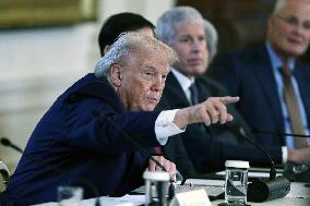 US President Donald Trump mets with oil executives in the East Room