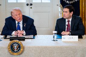 President Trump Meets With Oil and Gas Executives in Washington, DC