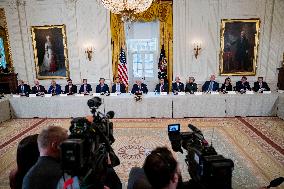 President Trump Meets With Oil and Gas Executives in Washington, DC