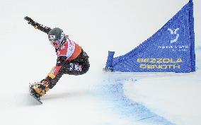 Snowboard: World Cup