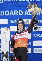 Snowboard: World Cup