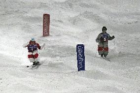 Freestyle skiing: World Cup in Canada