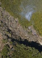 Forest fire in Kanagawa Pref.