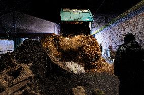 Farmers Protest in Montauban