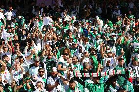 Algeria Supporters At CAN Quarterfinal - Marrakech