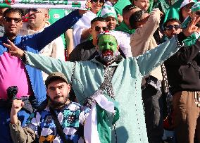 Algeria Supporters At CAN Quarterfinal - Marrakech