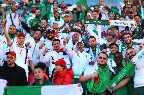 Algeria Supporters At CAN Quarterfinal - Marrakech