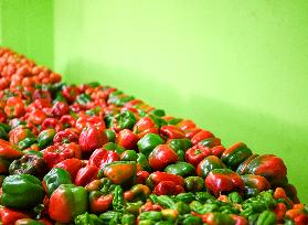 Daily Life - Caracas