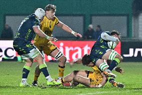 RUGBY - Challenge Cup - Benetton Rugby vs Dragons Rfc