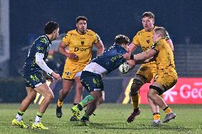 RUGBY - Challenge Cup - Benetton Rugby vs Dragons Rfc