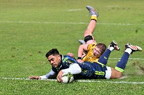 RUGBY - Challenge Cup - Benetton Rugby vs Dragons Rfc