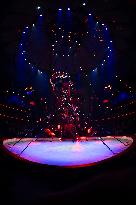 Stephane Rolland Event At Bouglione Winter Circus