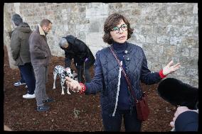 Exclusive - Dog Wellness Spaces in Paris With Rachida Dati - Paris